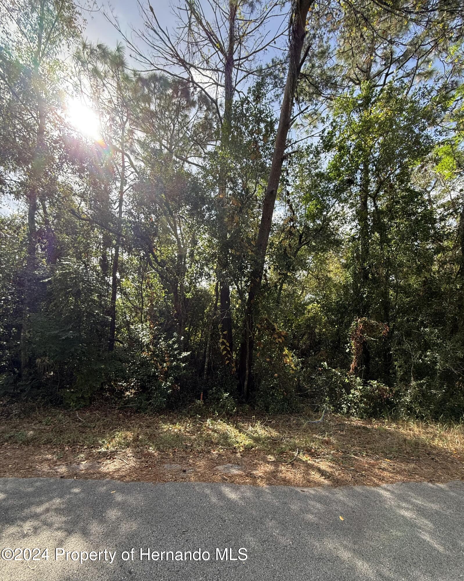 0 Waterbird Way Weeki Wachee, FL 34613 - Photo 2 of 7 a view of outdoor space and yard