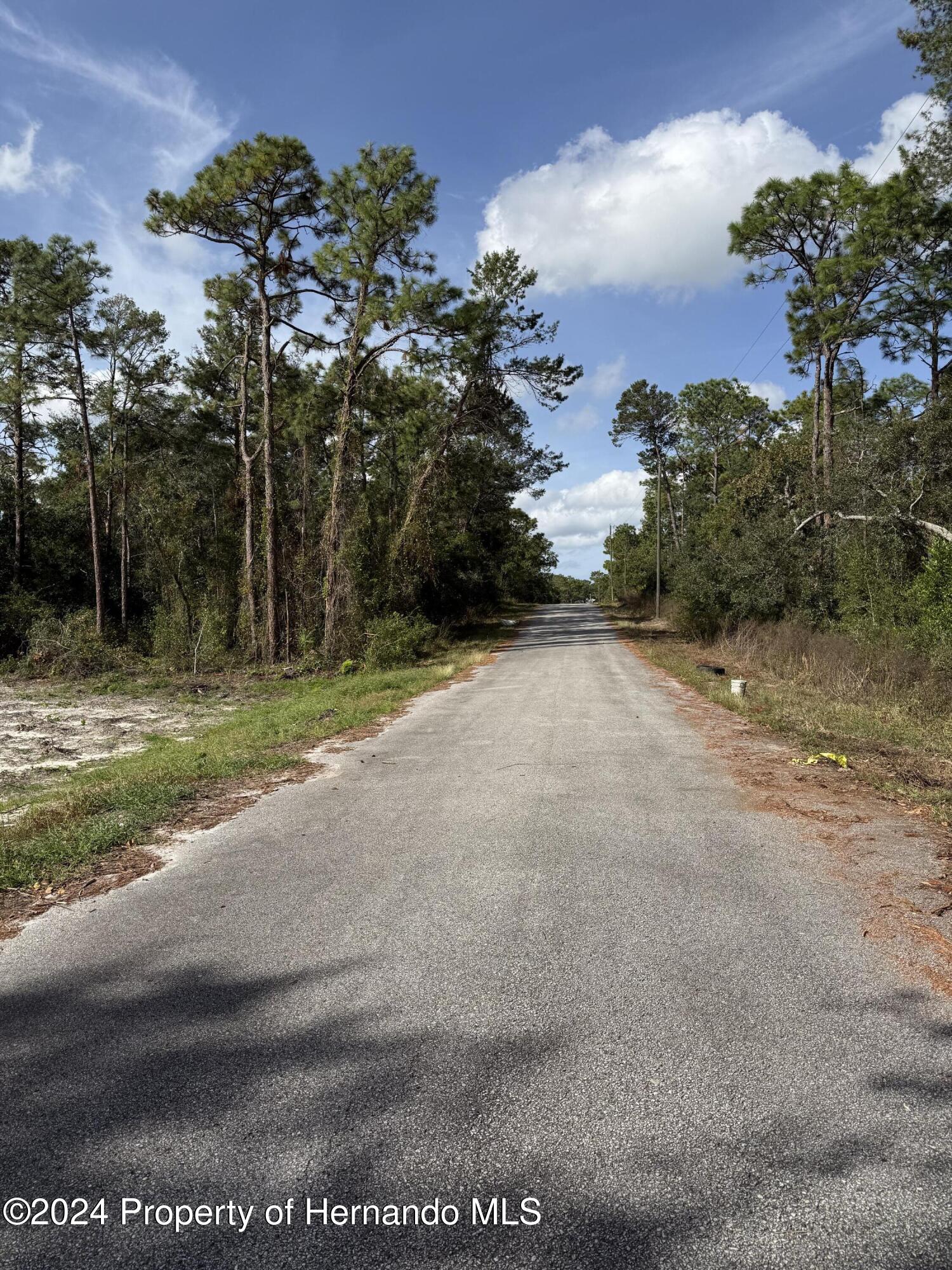 0 Waterbird Way Weeki Wachee, FL 34613 - Photo 4 of 7 a view of a yard with plants and trees