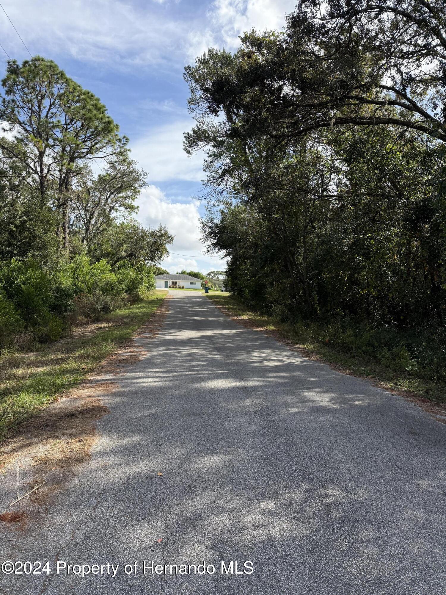 0 Waterbird Way Weeki Wachee, FL 34613 - Photo 5 of 7