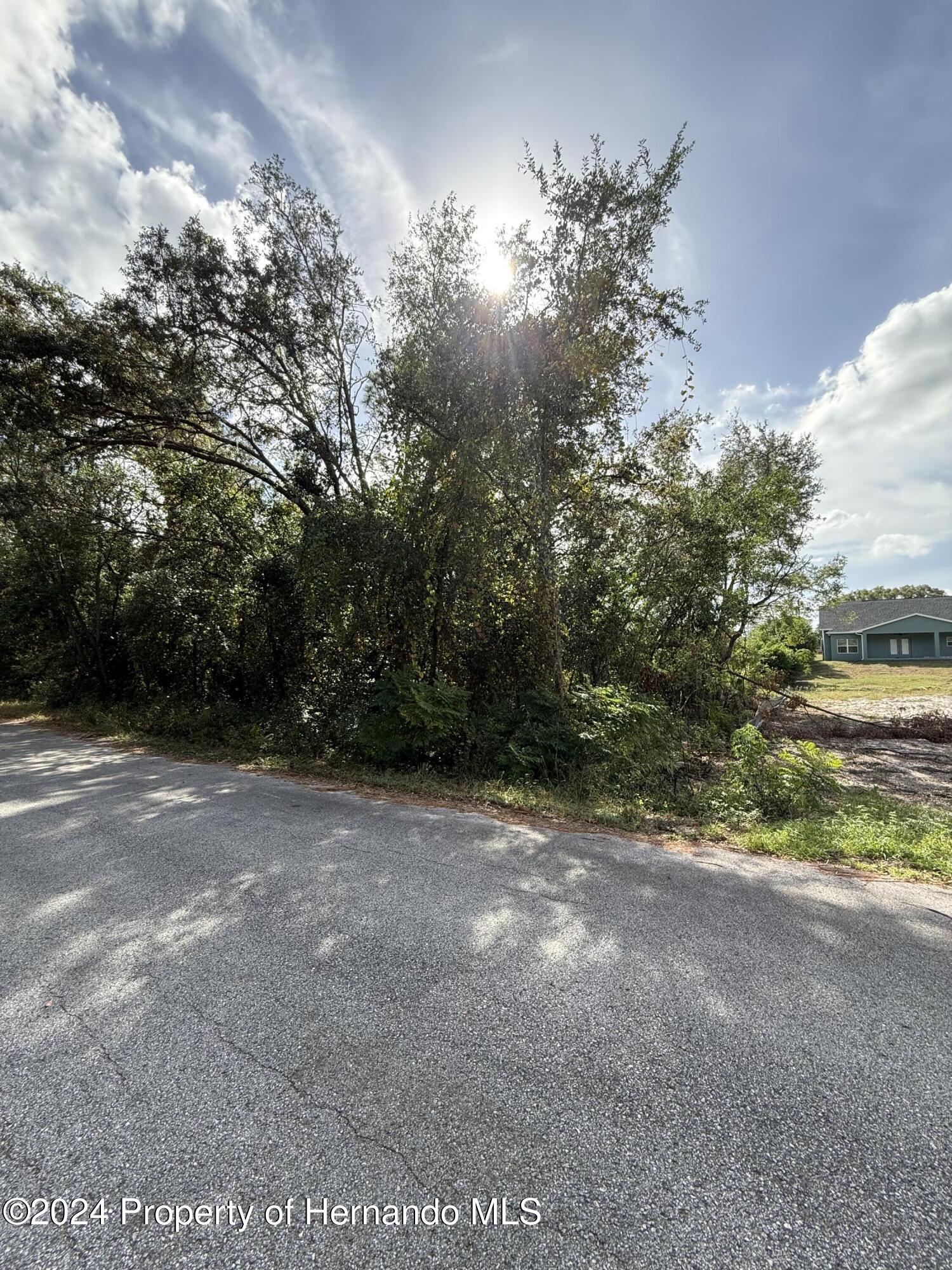 0 Waterbird Way Weeki Wachee, FL 34613 - Photo 6 of 7 a view of a yard with a tree