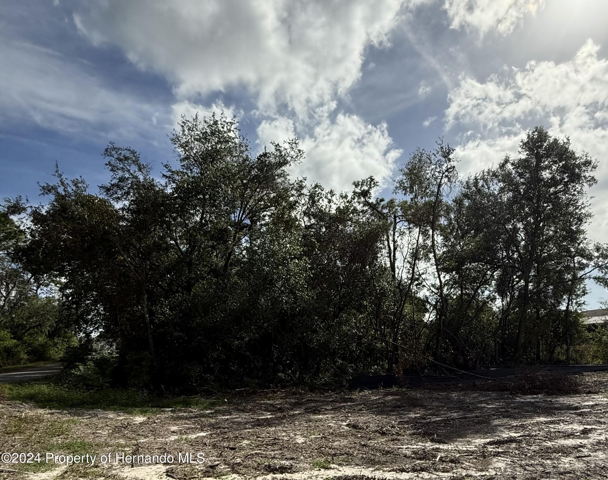 0 Waterbird Way Weeki Wachee, FL 34613 - Photo 7 of 7 a view of a yard