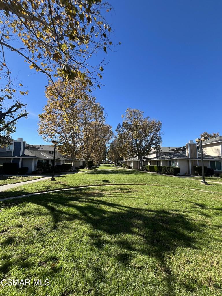 540 Spring Road, Unit 94 Moorpark, CA 93021 - Photo 18 of 22 a big yard with lots of green space