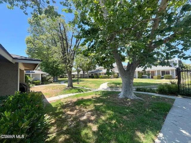a view of a yard with plants and large trees