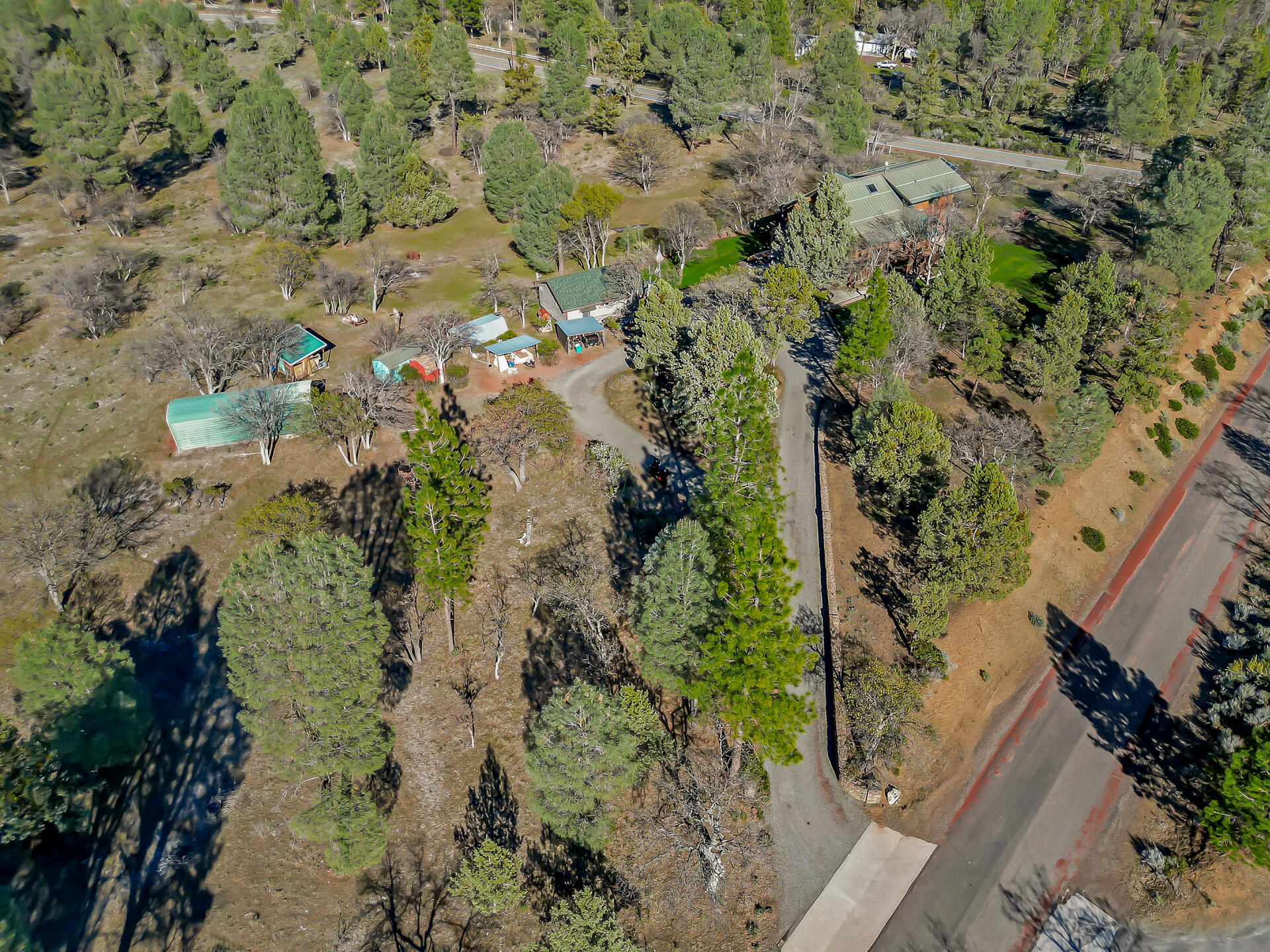 43007 Shoshoni Loop Fall River Mills, CA 96028 - Photo 11 of 87 43007ShoshoniLoop-29