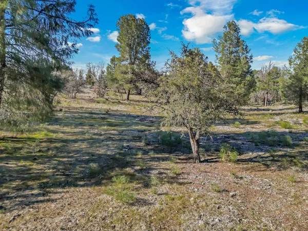 $724,000 | 43007 Shoshoni Loop, Fall River Mills, CA 96028