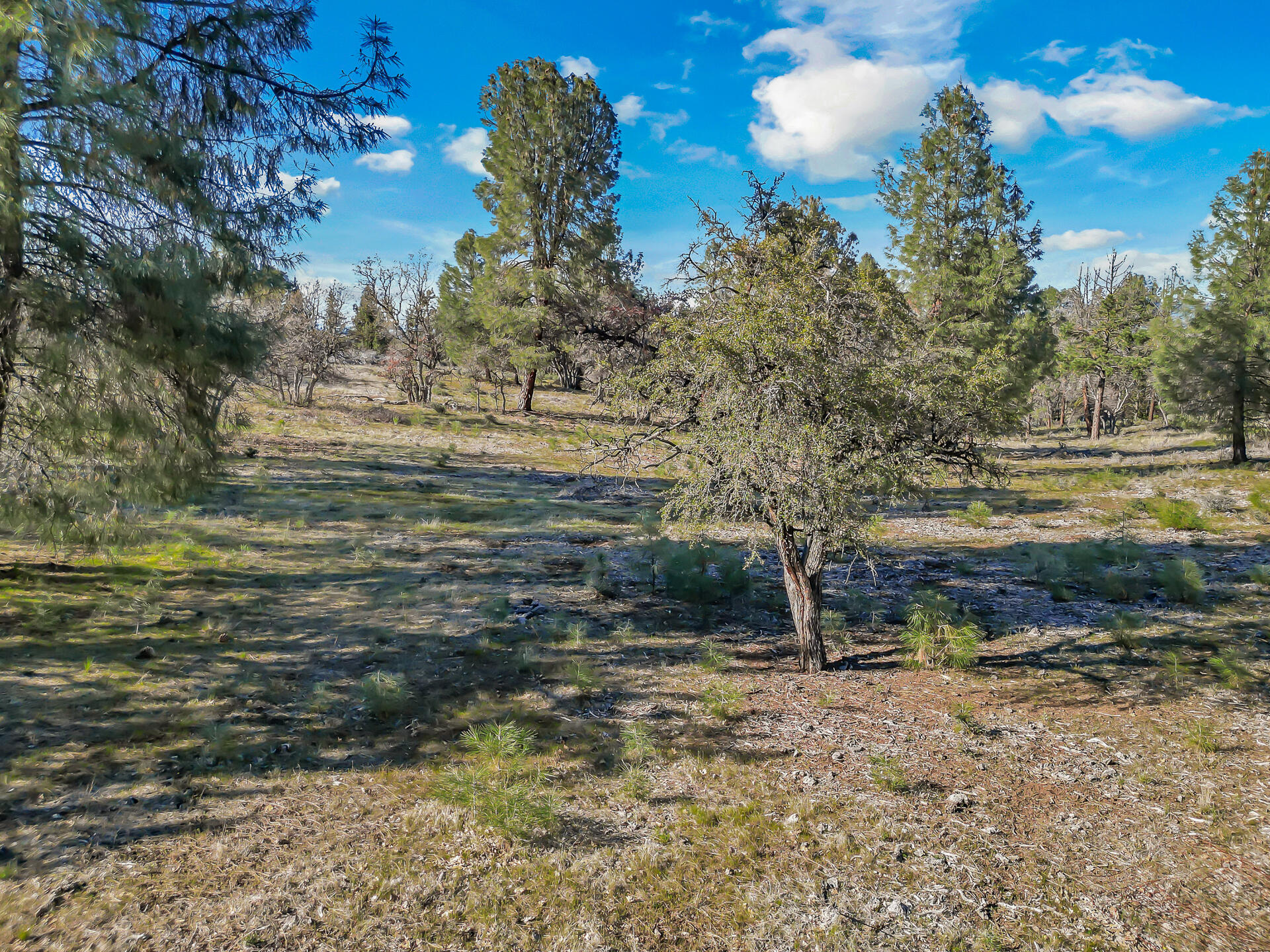 43007 Shoshoni Loop Fall River Mills, CA 96028 - Photo 84 of 87 43007ShoshoniLoop-11