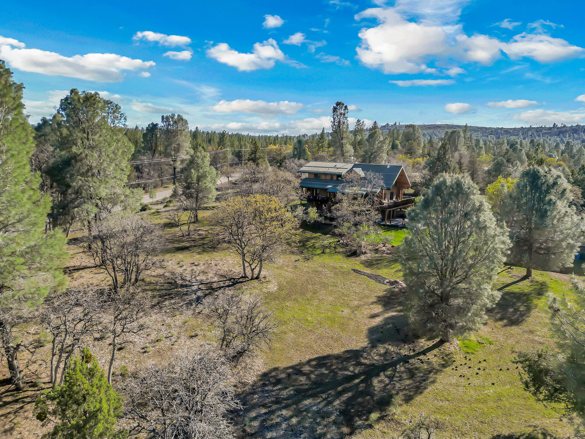 43007 Shoshoni Loop Fall River Mills, CA 96028 - Photo 85 of 87 43007ShoshoniLoop-12