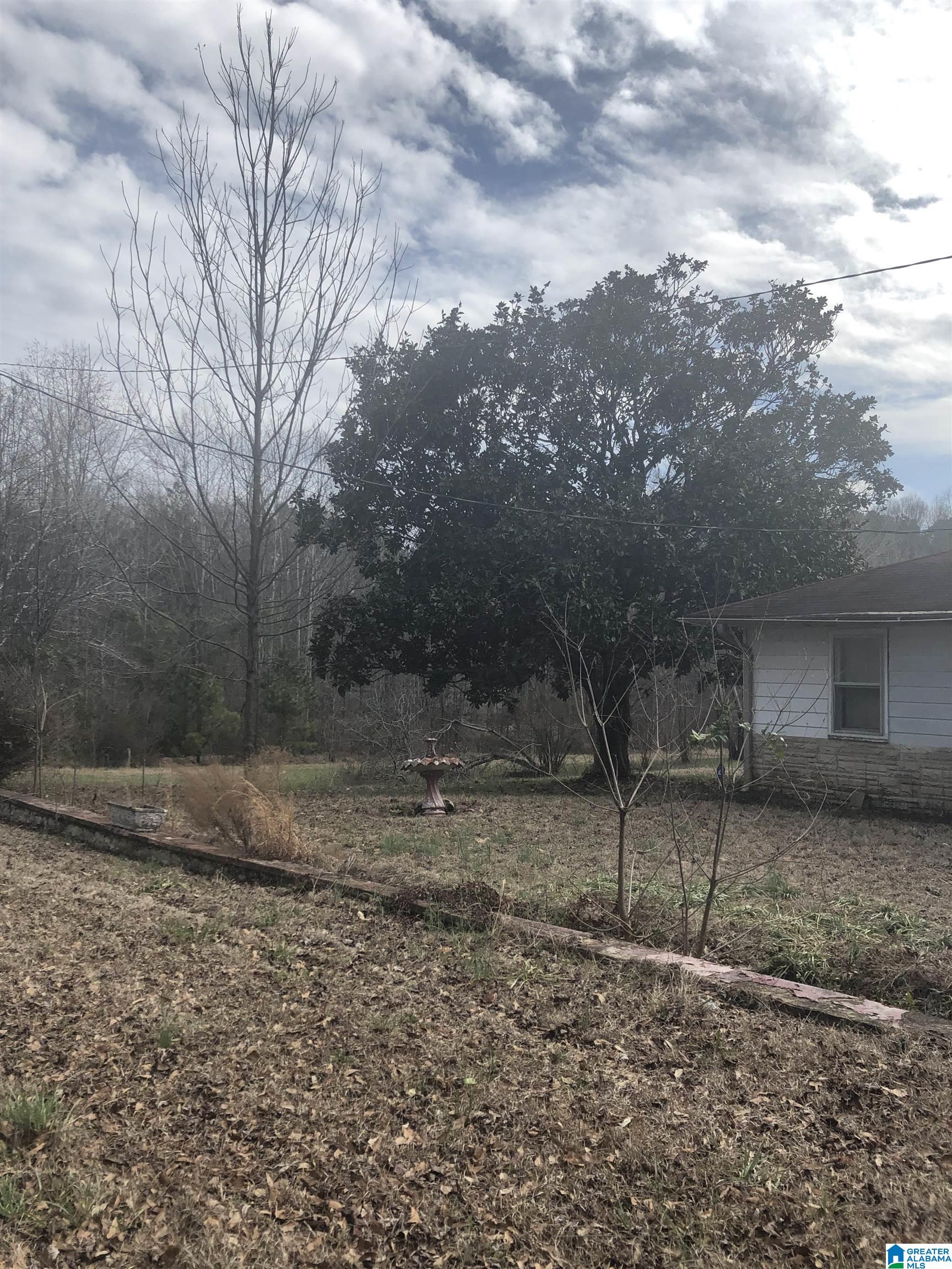 297 Smith Road Jemison, AL 35085 - Photo 15 of 20