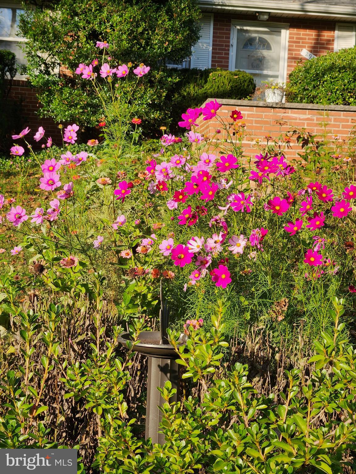 2911 Nelson Lane Fallston, MD 21047 - Photo 15 of 85 a view of a flower in a garden with statue