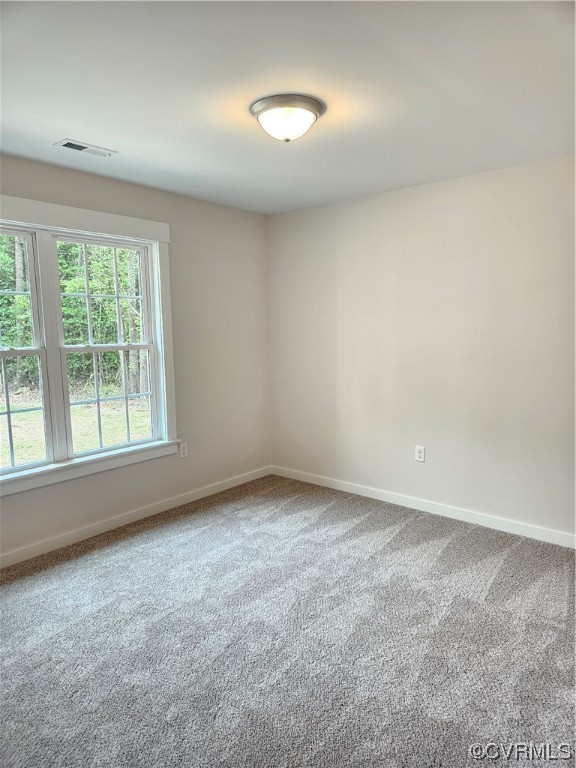 1124 Cheaneys Bridge Road Dunnsville, VA 22454 - Photo 12 of 12 Gallery Image 12