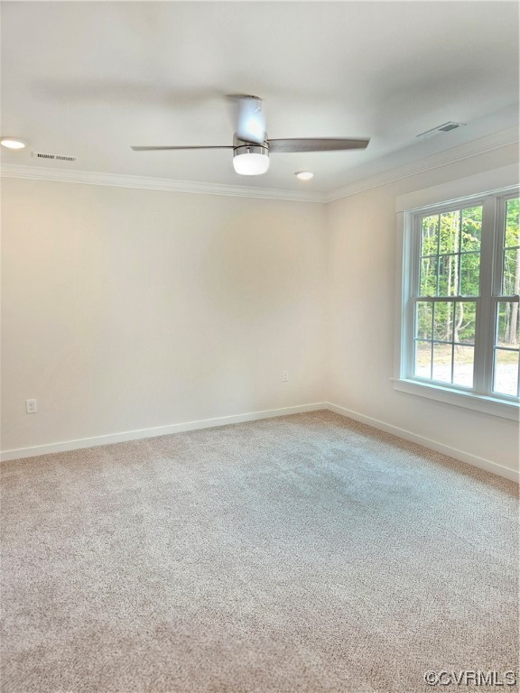 1124 Cheaneys Bridge Road Dunnsville, VA 22454 - Photo 7 of 12 Gallery Image 7