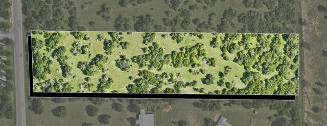 a close up of a green plant with a window