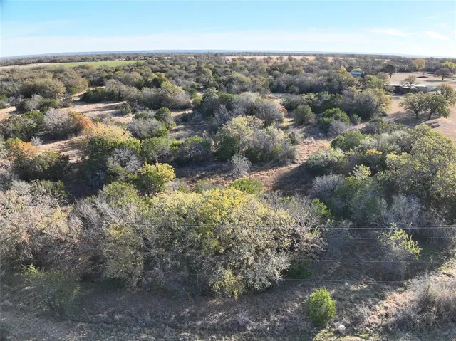 a view of a forest with a yard