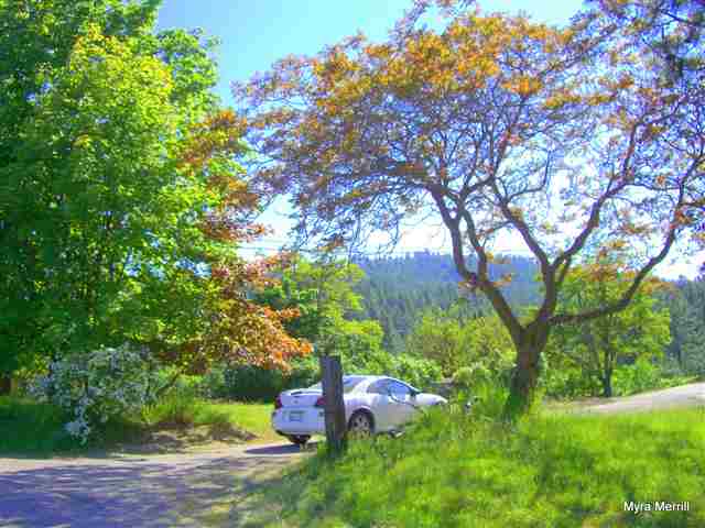 4808 South Dyer Road Spokane, WA 99223 - Photo 1 of 9