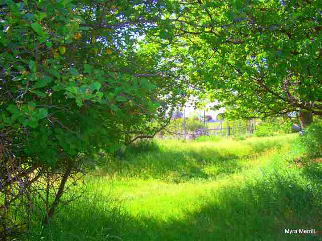 4808 South Dyer Road Spokane, WA 99223 - Photo 2 of 9