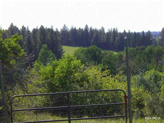 4808 South Dyer Road Spokane, WA 99223 - Photo 5 of 9