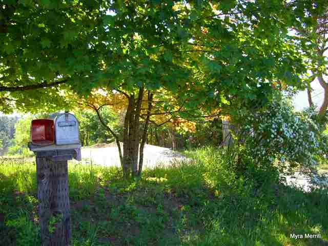 4808 South Dyer Road Spokane, WA 99223 - Photo 9 of 9