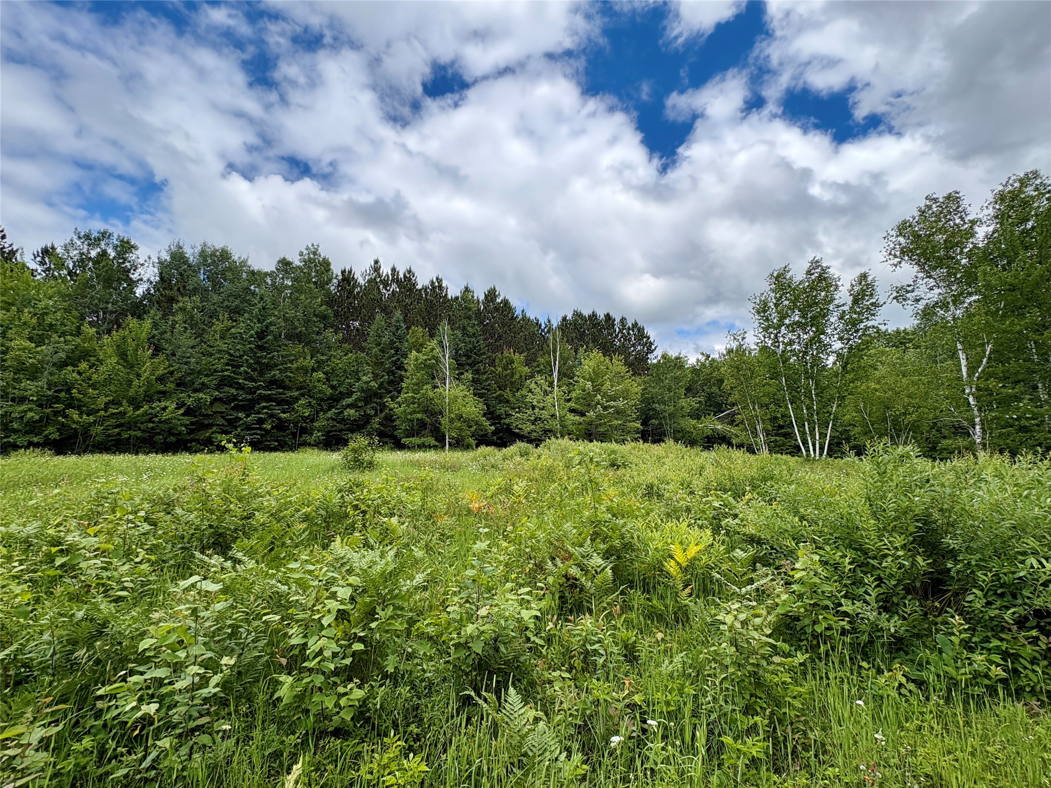 0 27th Street Cameron, WI 54822 - Photo 27 of 45