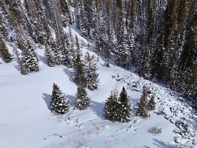 a view of a covered with snow in between of the road