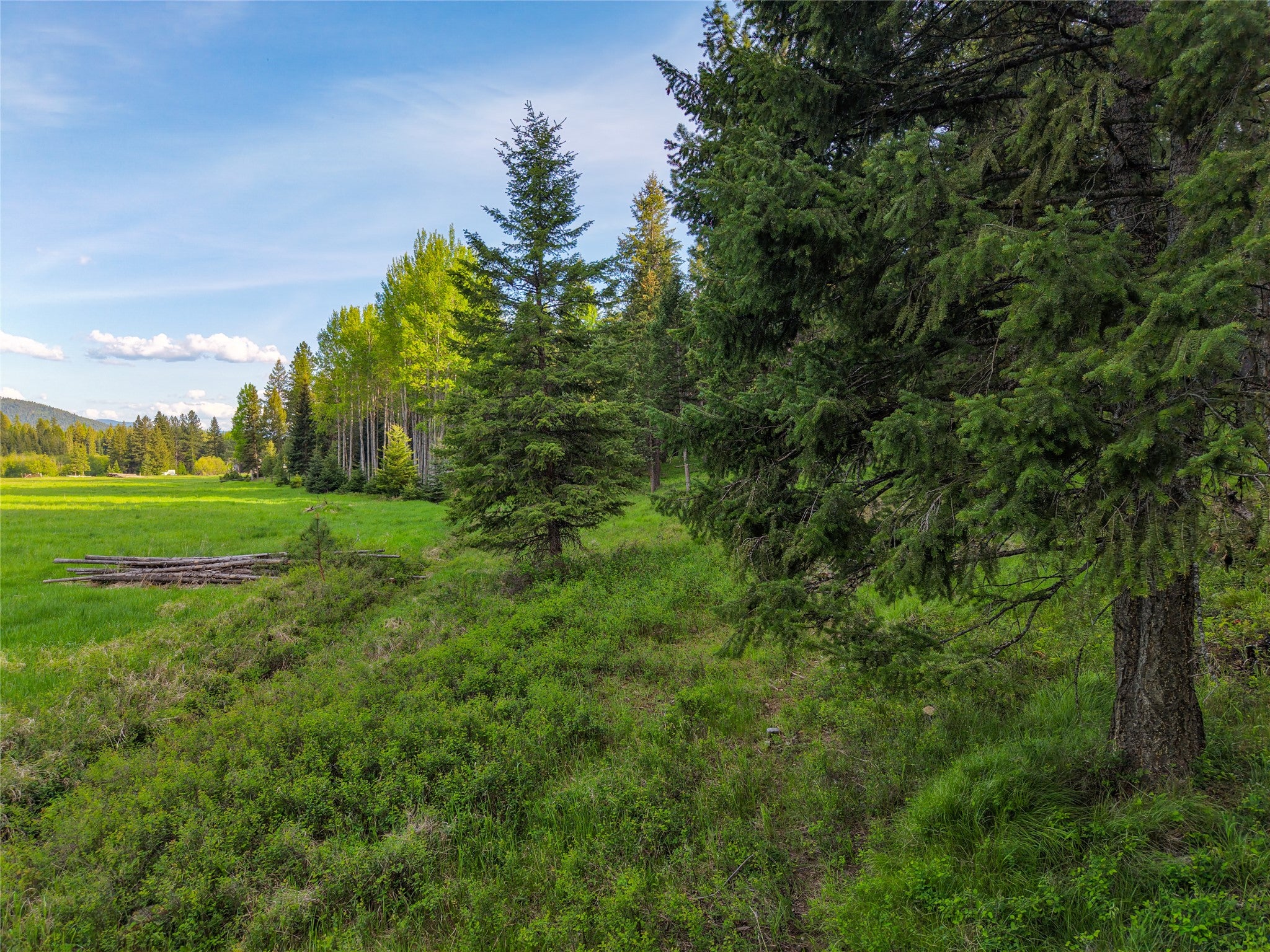 108 Bobtail Mdw Road Libby, MT 59923 - Photo 111 of 123 Gallery Image 111
