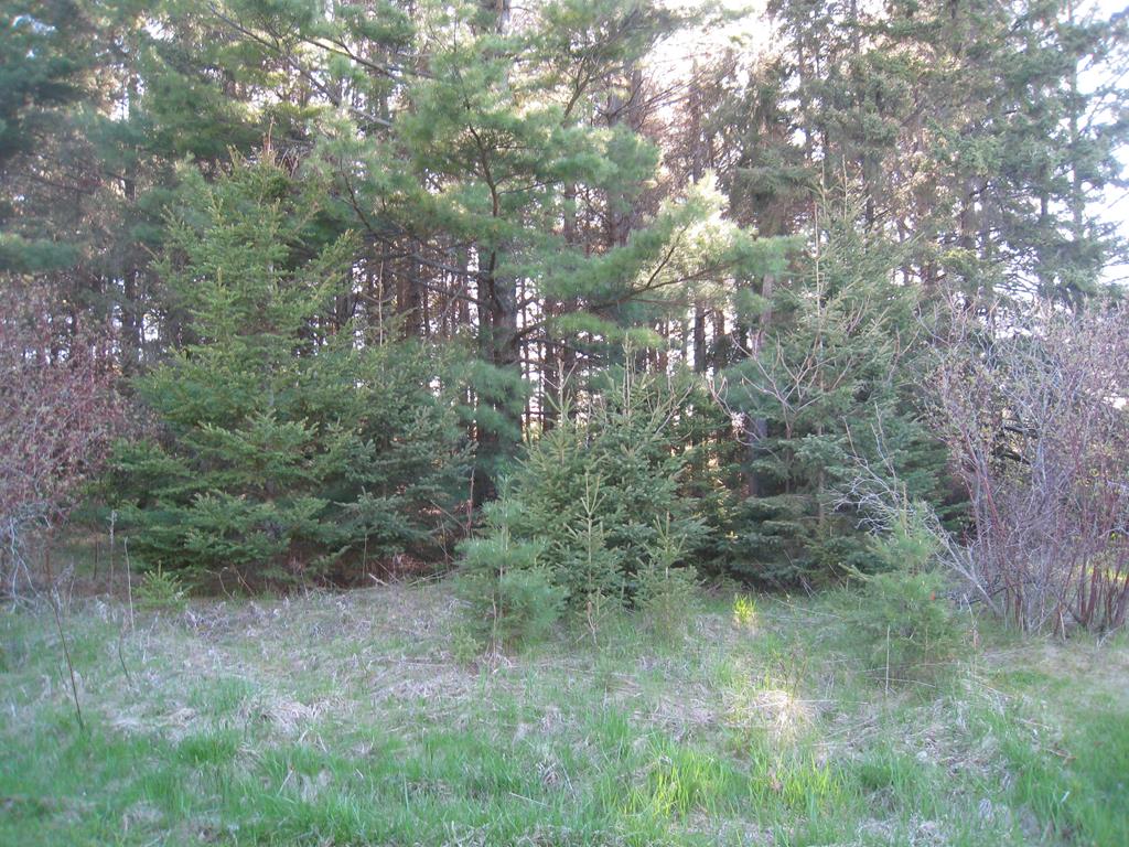 Lot 4 Hainesville Road Sturgeon Bay, WI 54235 - Photo 1 of 4