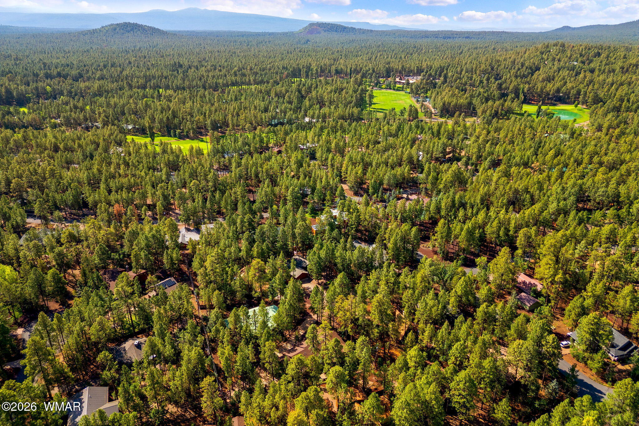 6735 Sunset Trail Pinetop, AZ 85935 - Photo 32 of 33 a view of a lush green field with a mountain in the background