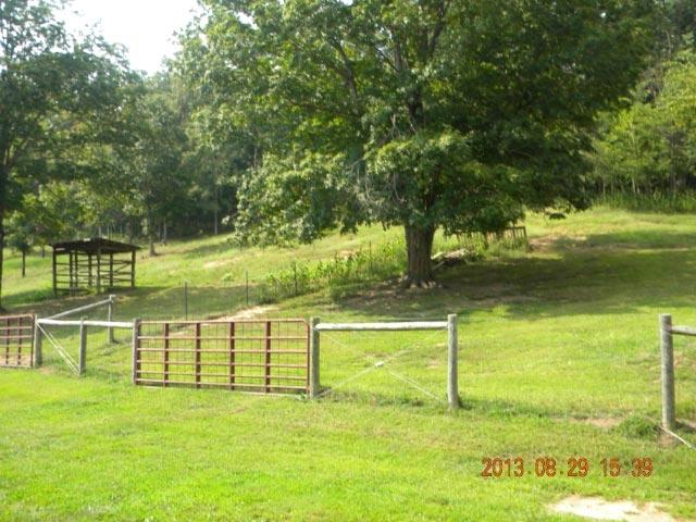 3403 Bryan Road Kodak, TN 37764 - Photo 14 of 21 DSCN8045