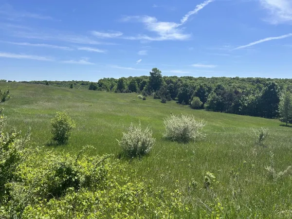 $300,000 | 0 South Maple Valley Road, Suttons Bay, MI 49682