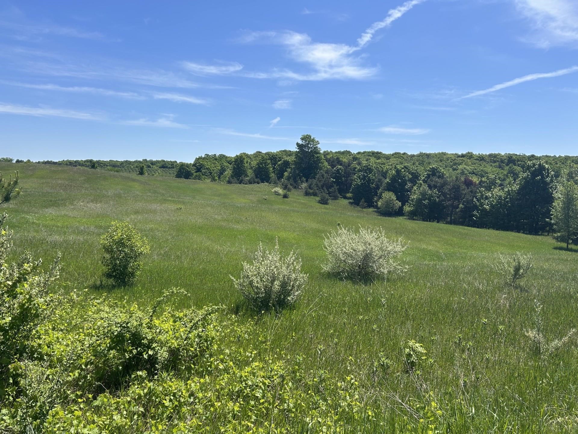 0 South Maple Valley Road Suttons Bay, MI 49682 - Photo 1 of 9