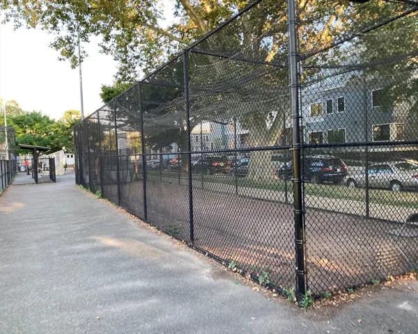 a view of a yard with a tree