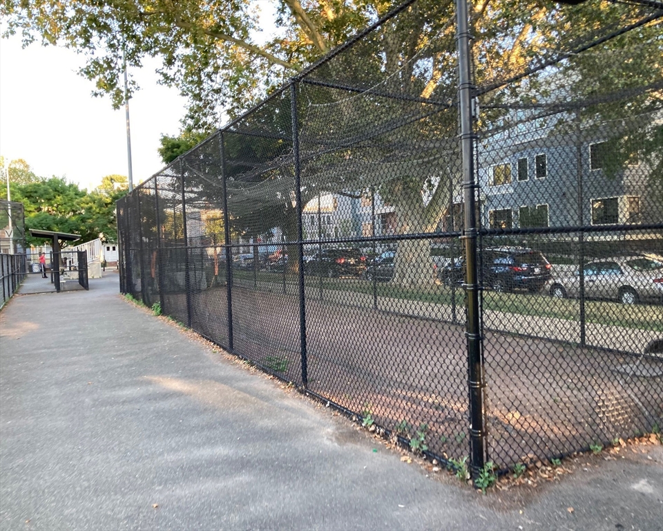 148 Berkshire Street, Unit 4 Cambridge, MA 02141 - Photo 15 of 17 a view of a yard with a tree