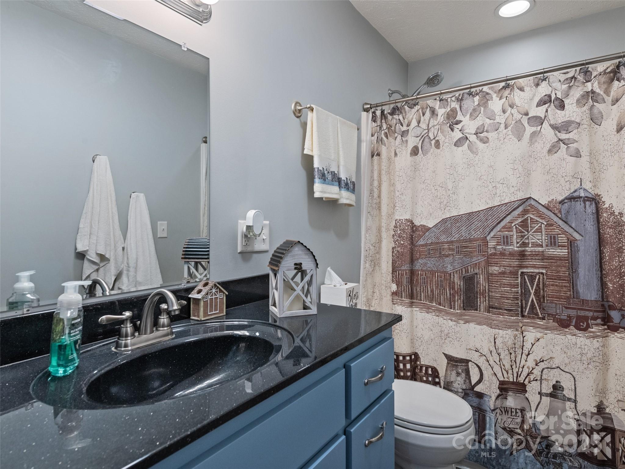 153 Trinity Drive Clyde, NC 28721 - Photo 34 of 38 a bathroom with a toilet sink and mirror