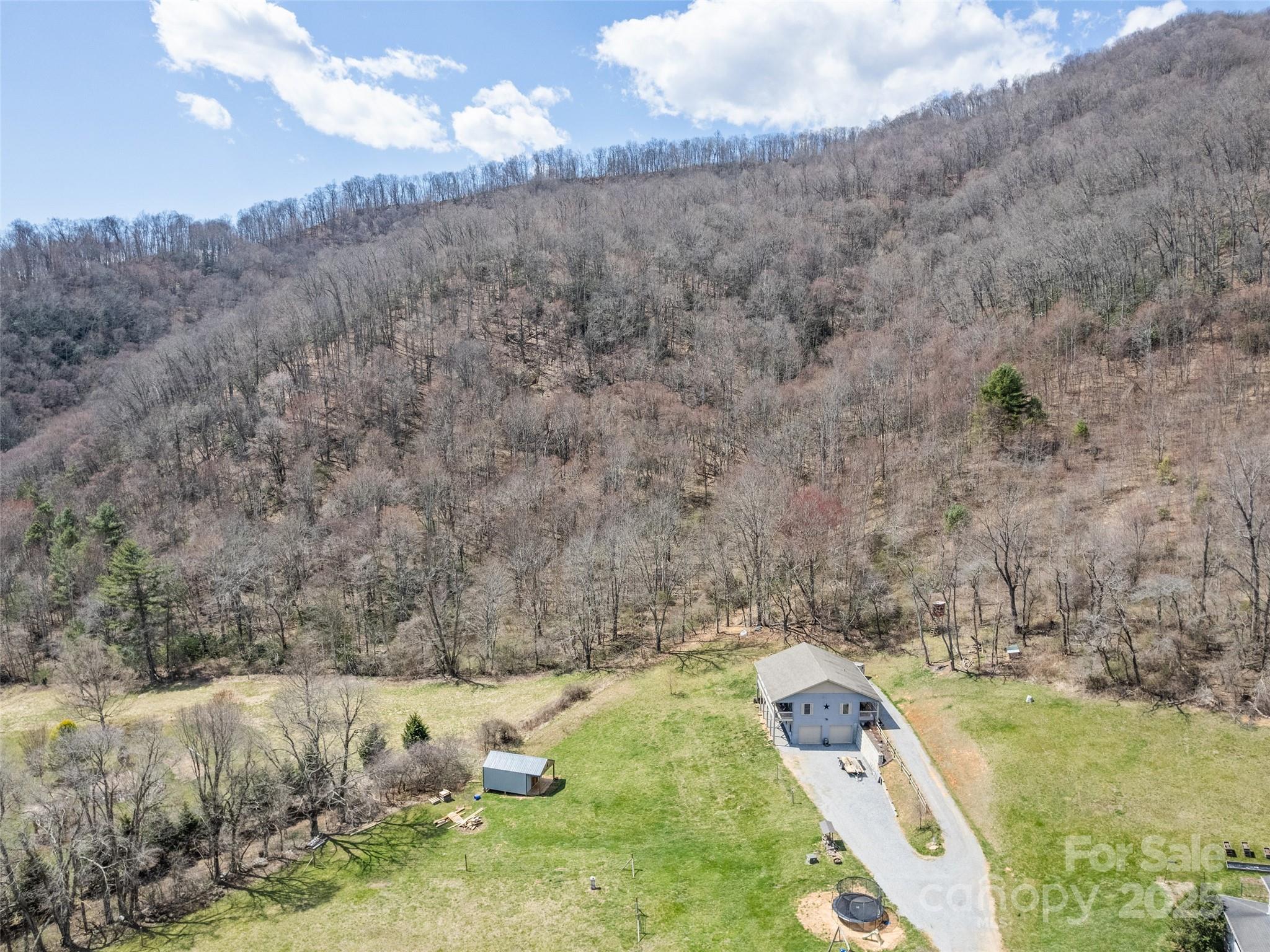 153 Trinity Drive Clyde, NC 28721 - Photo 8 of 38 a view of a yard with large trees