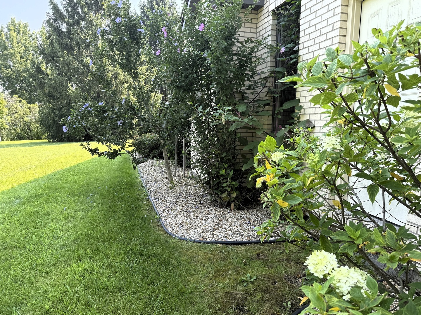 132 Fox Trot Dixon, IL 61021 - Photo 38 of 42 a view of a garden with a tree