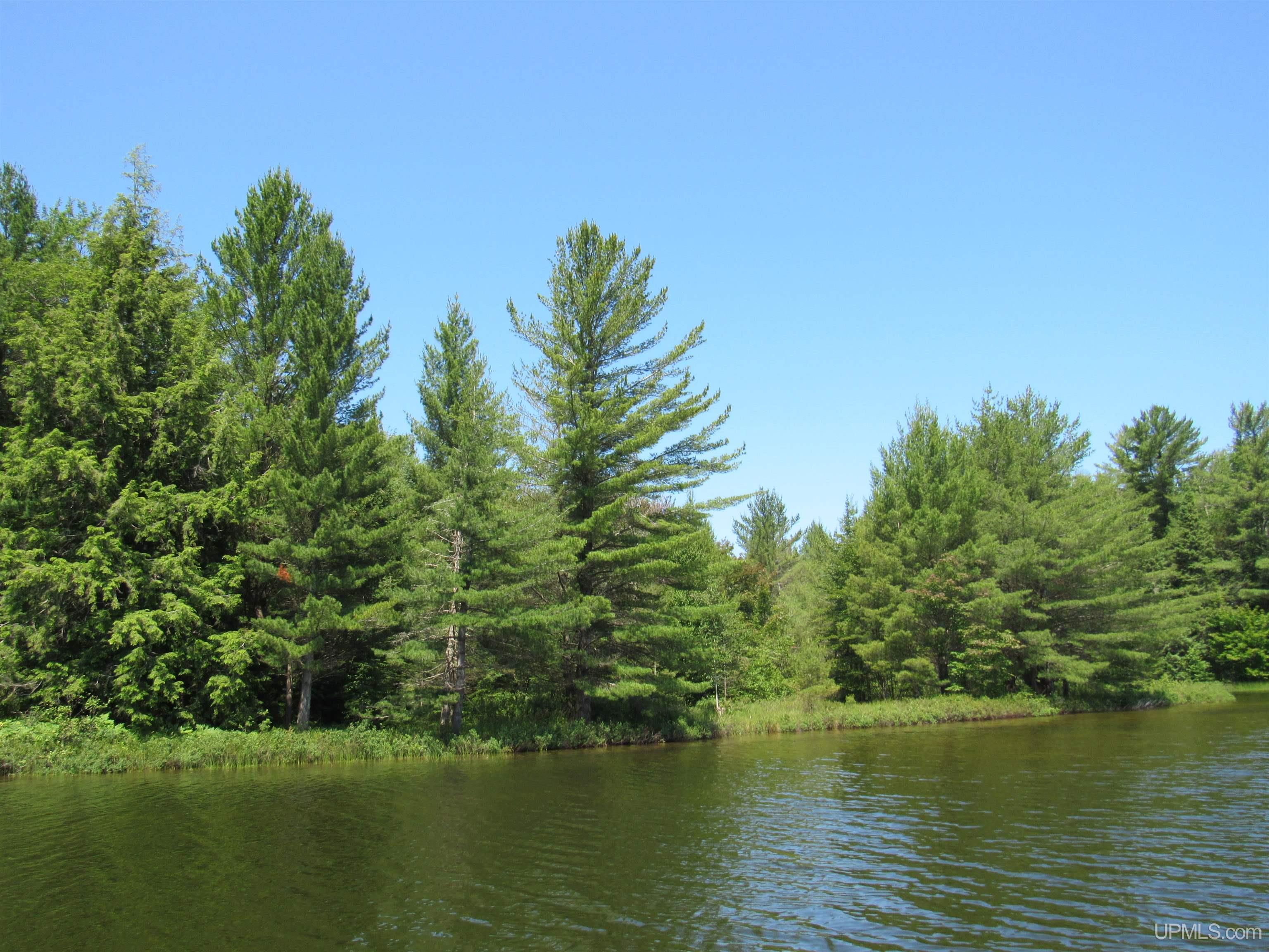 3974 North Hayward (access To Angel Island) Road Munising, MI 49862 - Photo 18 of 92