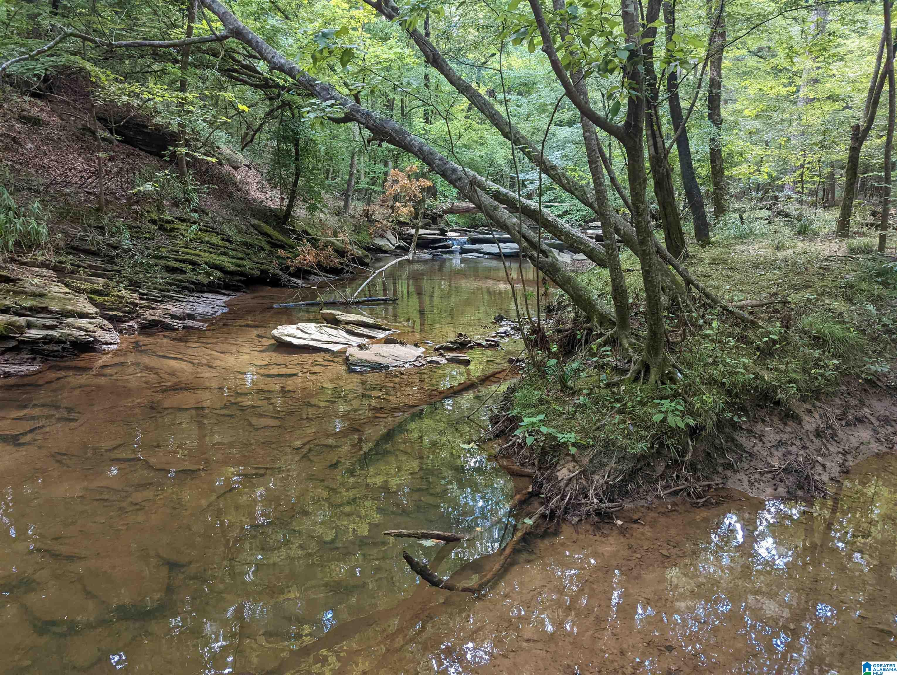 0 Stevens Creek Road Birmingham, AL 35244 - Photo 11 of 11