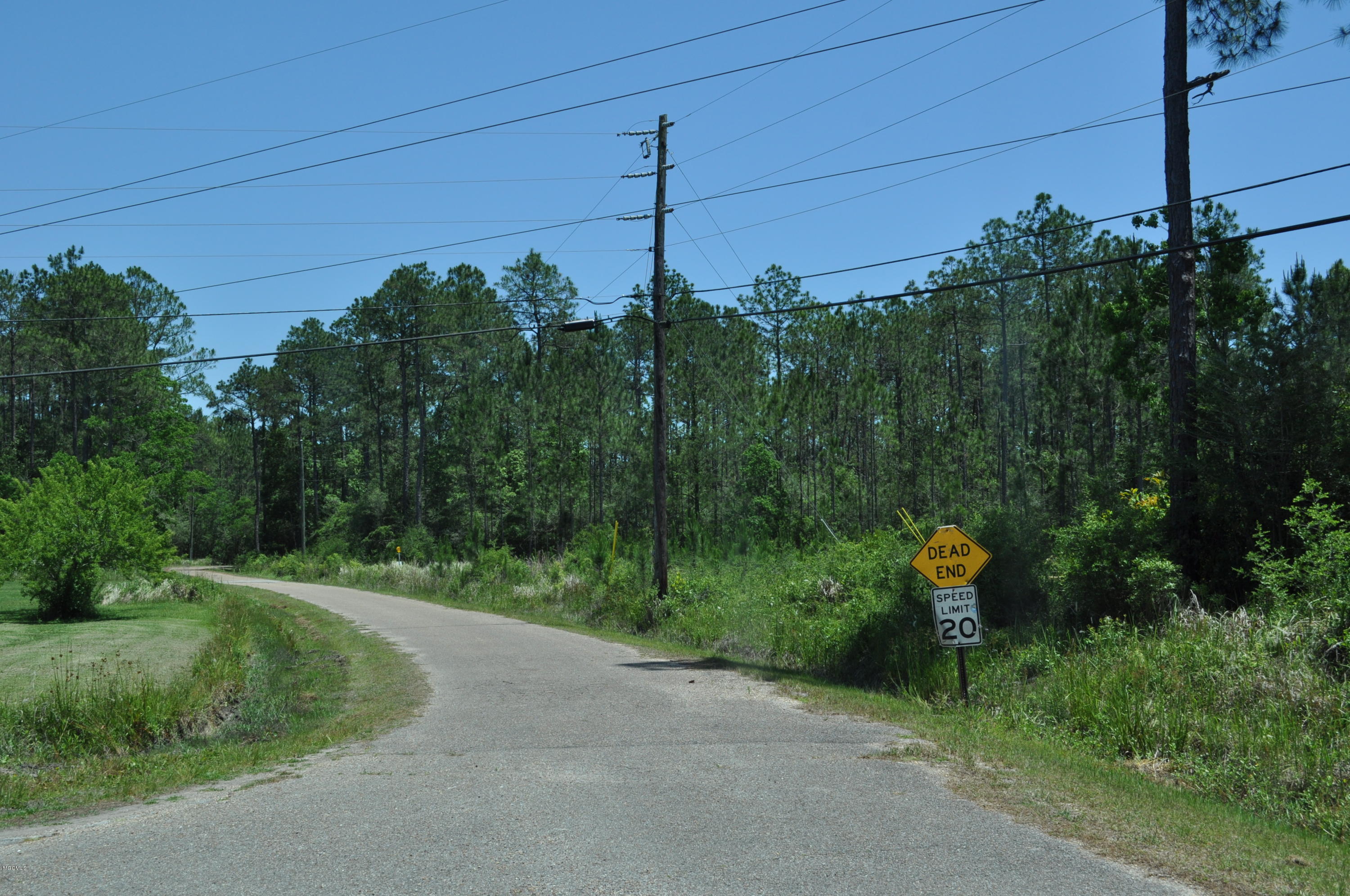 0 Poole Road Moss Point, MS 39562 - Photo 2 of 3 DSC_0579
