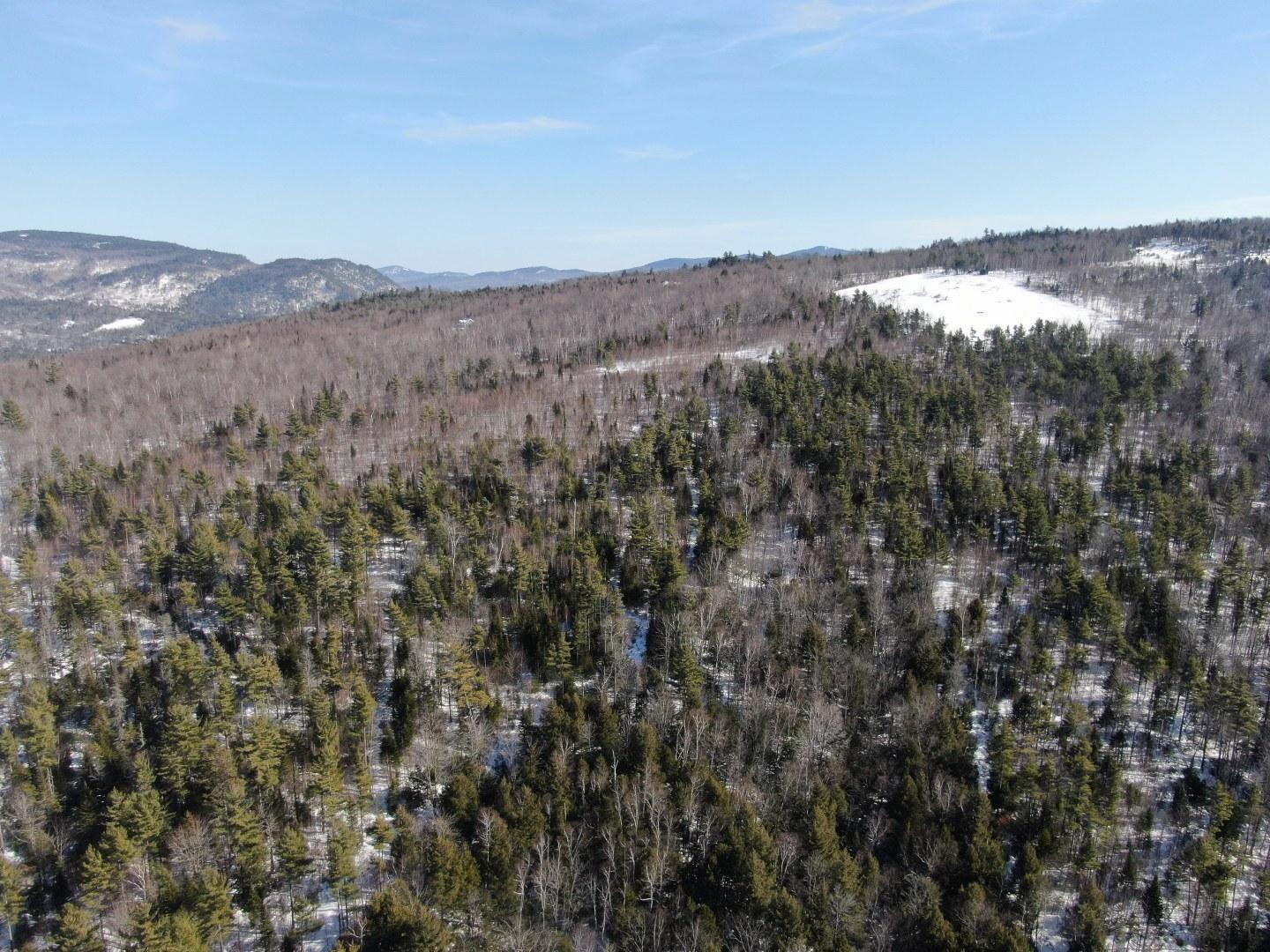 Tbd Tbd Holeman Road Rumford, ME 04276 - Photo 13 of 19 org_5e5538751c6719fb_1582532564000_1440x