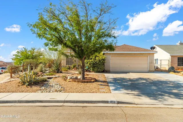 a palm tree sitting in front of a house with a yard