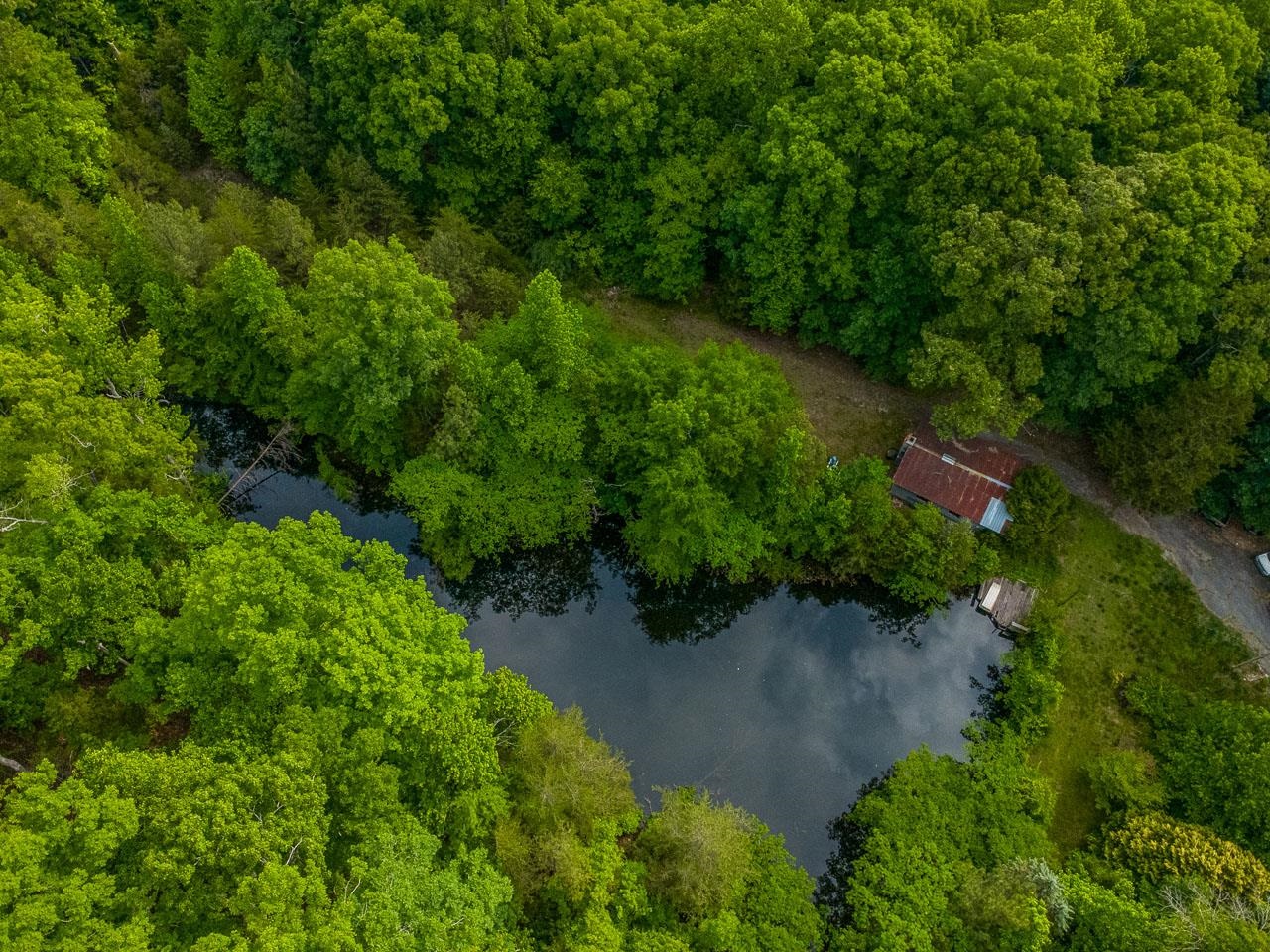 2840 Glenn Springs Road Pauline, SC 29374 - Photo 4 of 26