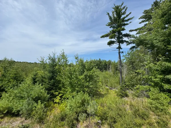 $50,000 | 23-003-l Route 1 Gouldsboro Me 04607, Gouldsboro, ME 04607