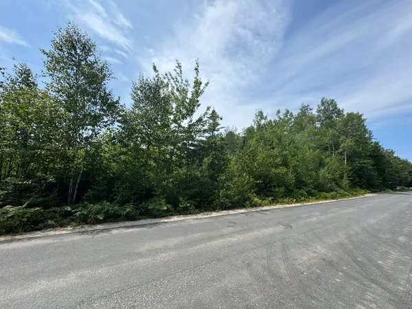 $50,000 | 23-003-l Route 1 Gouldsboro Me 04607, Gouldsboro, ME 04607
