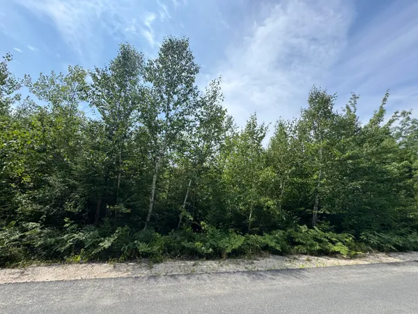$50,000 | 23-003-l Route 1 Gouldsboro Me 04607, Gouldsboro, ME 04607