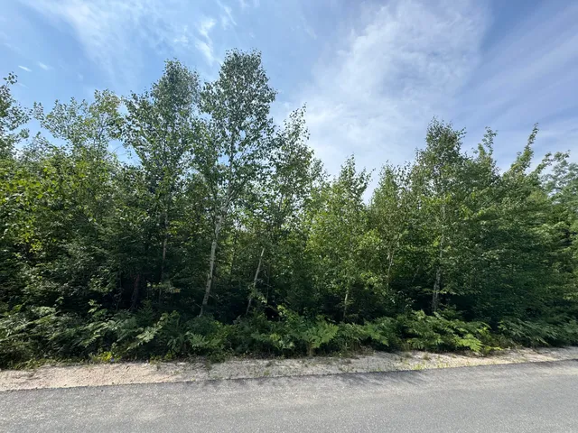 $50,000 | 23-003-l Route 1 Gouldsboro Me 04607, Gouldsboro, ME 04607