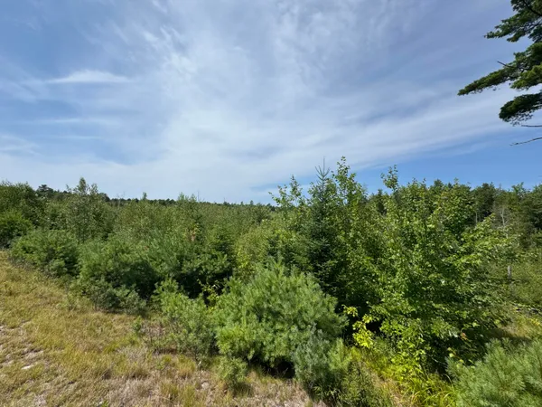 $50,000 | 23-003-l Route 1 Gouldsboro Me 04607, Gouldsboro, ME 04607