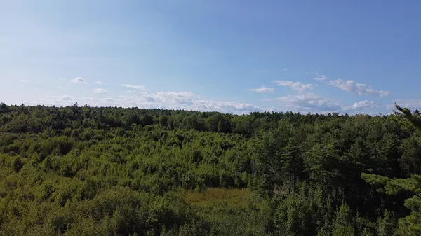 $50,000 | 23-003-l Route 1 Gouldsboro Me 04607, Gouldsboro, ME 04607