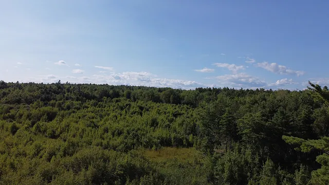 $50,000 | 23-003-l Route 1 Gouldsboro Me 04607, Gouldsboro, ME 04607