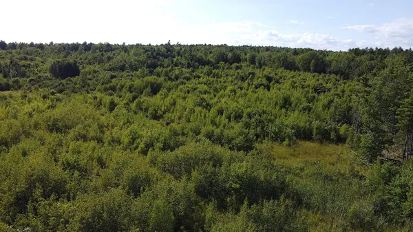 $50,000 | 23-003-l Route 1 Gouldsboro Me 04607, Gouldsboro, ME 04607