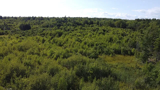 $50,000 | 23-003-l Route 1 Gouldsboro Me 04607, Gouldsboro, ME 04607