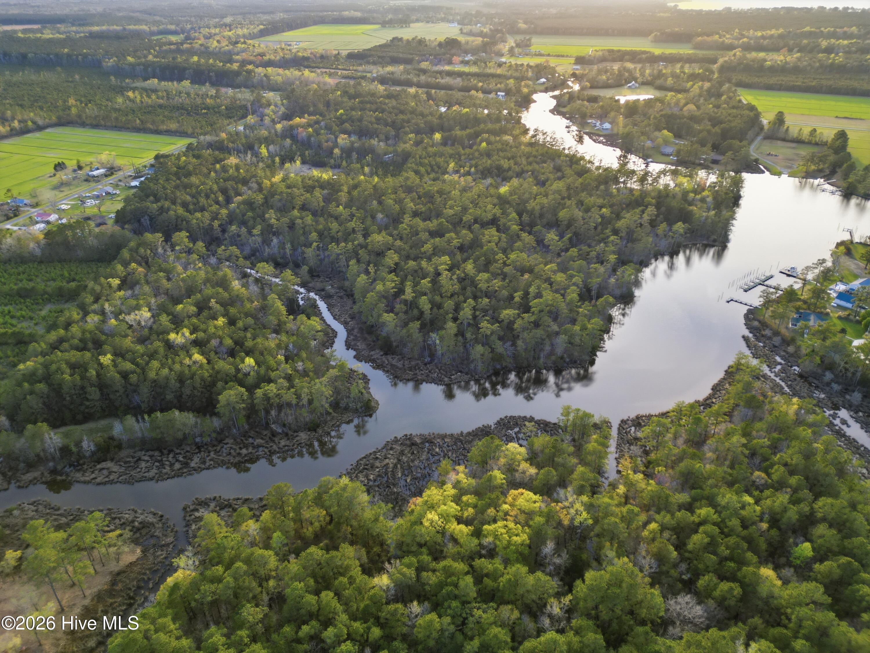 0 Florence Road Merritt, NC 28556 - Photo 12 of 31 12_dji_0025